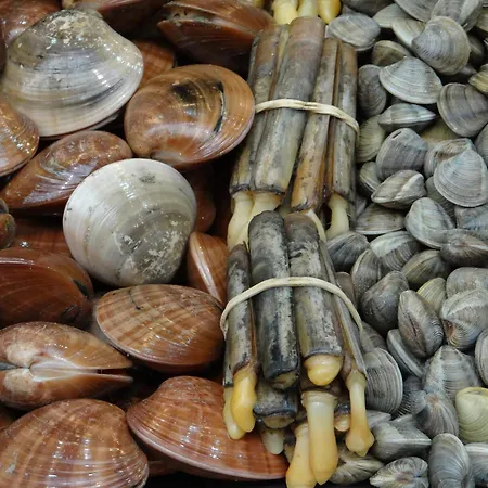 아파트 A 2 Minutos De La Playa *