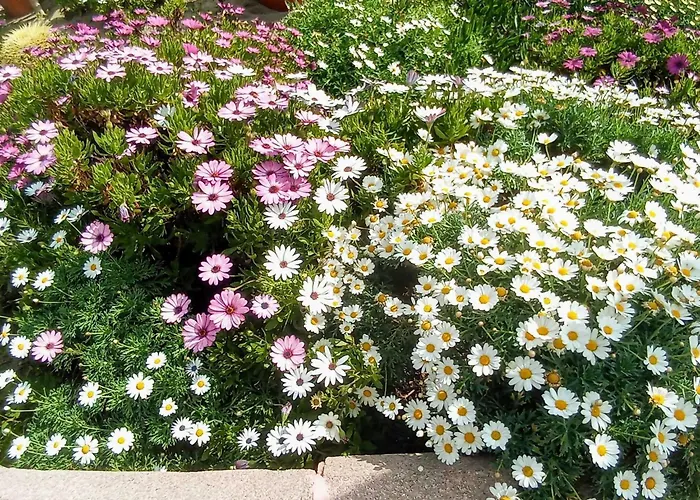 A 2 Minutos De La Playa Апартаменты