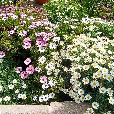 A 2 Minutos De La Playa Apartment